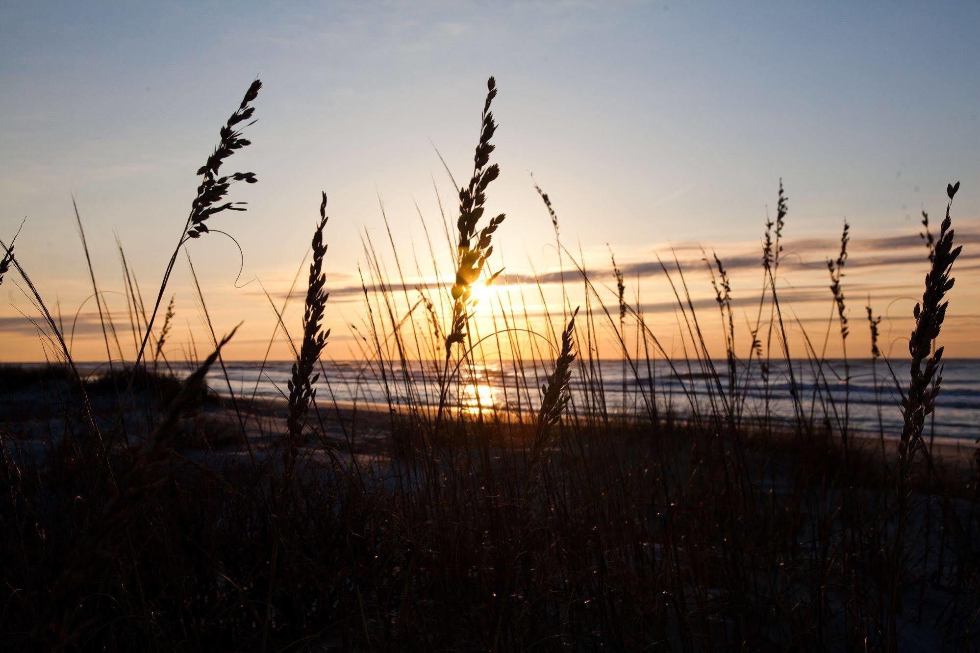 Wild Dunes Homes And Villas Isle of Palms Bagian luar foto